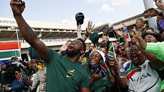 Rugby : les Springboks d'Afrique du Sud en route pour le Mondial