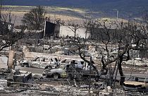 Hawaii'deki orman yangınlarında ölenlerin sayısı 93'e çıktı