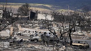 Hawaii'deki orman yangınlarında ölenlerin sayısı 93'e çıktı