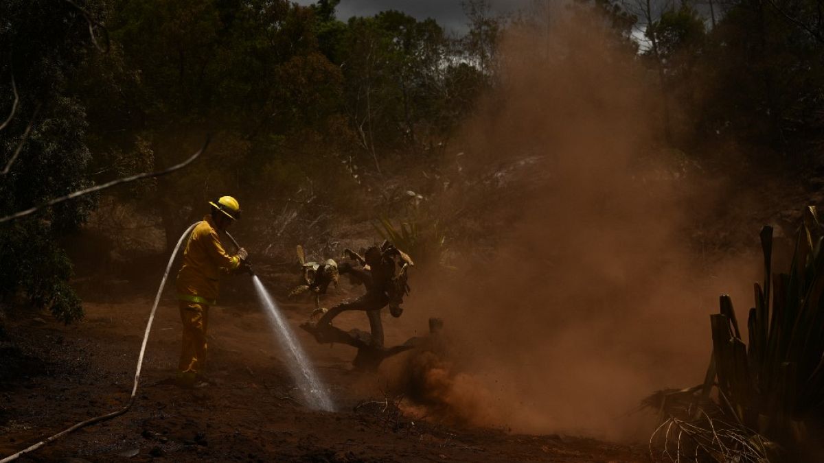 Hawaii tűzoltó harcol a lángok ellen