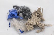 Researchers from Plymouth University have previously shown that each load of laundry can result in countless fibres being released into the environment