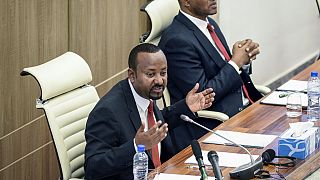 Ethiopie : l'EHRDC dénonce les arrestations "massives" d'Amhara