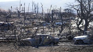 Összeégett otthonok és autók Lahaina utcáin 2023. augusztus 13-án - katasztrófa-övezet lett a turistaparadicsom