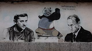 سیاستمداران و شخصیت‌های خیالی بر دیوارهای روستای بلغار؛ بین پوتین و زلنسکی یک پاندا فاصله است