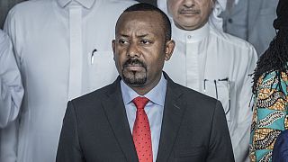 Ethiopie : les députés approuvent l'État d'urgence en Amhara