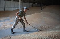 Рабочий сгребает пшеницу в зернохранилище на частной ферме в Журовке.