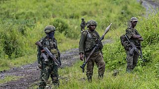 RDC : Tshisekedi appelle à déposer les armes en Ituri et au Nord-Kivu