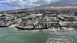 Teljesen leégett területek Lahainában, Maui szigetén