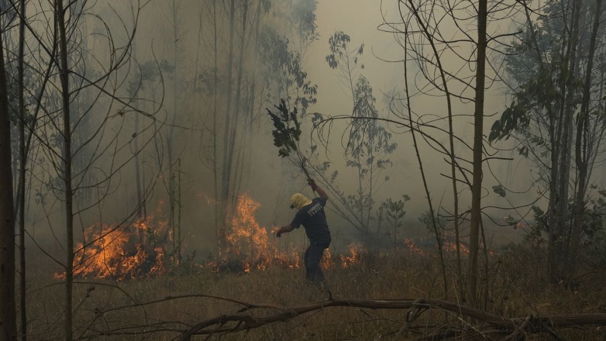 فرق الإطفاء تكافح الحرائق في كولومبيا