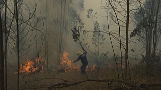 فرق الإطفاء تكافح الحرائق في كولومبيا