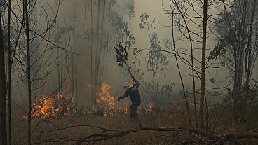 Incendio vicino a Bogotà