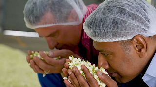 رجلان يشمان عبق زهر الياسمين قبل استخلاص العطر منه في أحد المصانع في الهند