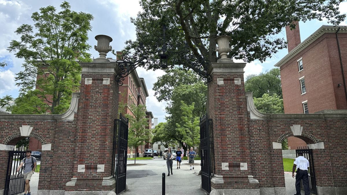 Harvard Üniversitesi 22. defa Şangay Klasmanı'nda bir numara oldu