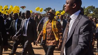 Zimbabwe police arrest 40 opposition members as vote nears