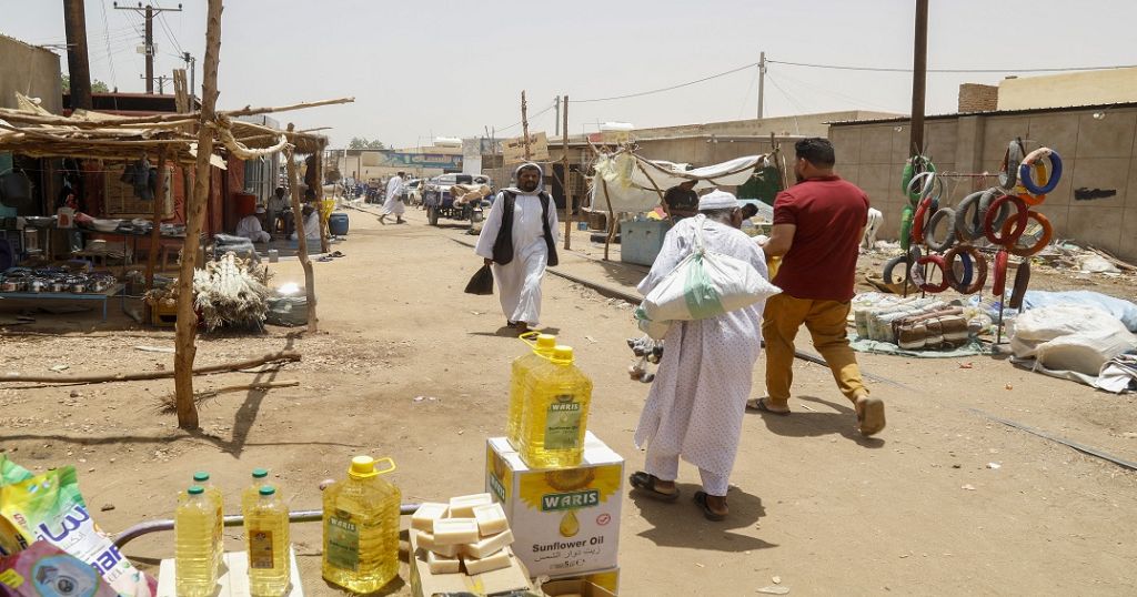 NGO: delivering aid into war-stricken Darfur is doable but difficult