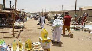 NGO: delivering aid into war-stricken Darfur is doable but difficult