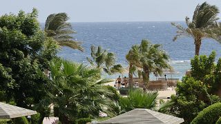 Egypt tourist arrivals surge as industry shakes off pandemic fall