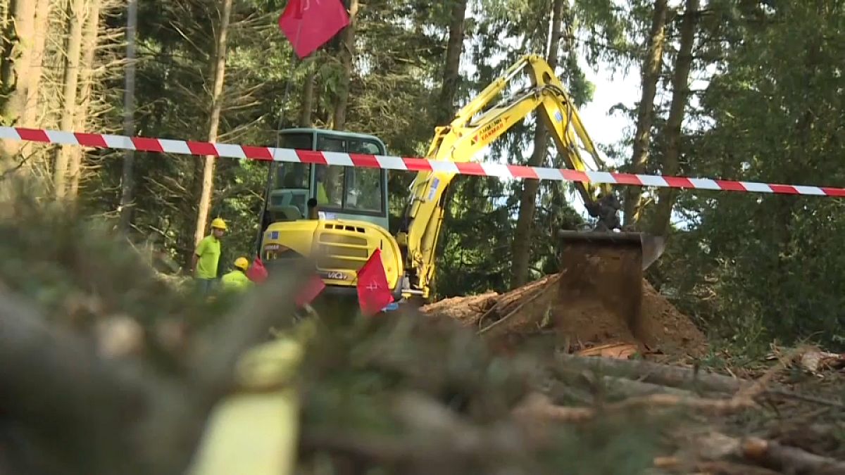 Workers begin digging in central France for the remains of dozens of German soldiers said to have been executed by Resistance fighters during World War II