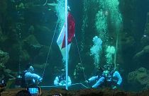 Indonesian flag being hoisted underwater