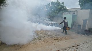   Chad: outbreak of a dengue "epidemic" in the east (health minister)