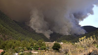 جزر الكناري الإسبانية تكافح الحرائق "الأكثر تعقيدا" منذ 40 عاما