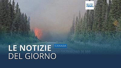 Le notizie del giorno | 17 agosto - Serale