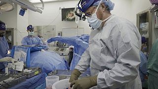 Dr. Robert Montgomery, director of NYU Langone’s transplant institute, prepares a pig kidney for transplant into a brain-dead man in New York on July 14, 2023. 