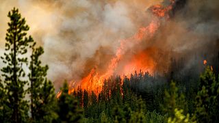 Flames from the Donnie Creek wildfire burn along a ridge top north of Fort St. John, British Columbia, on 2 July 2023. 