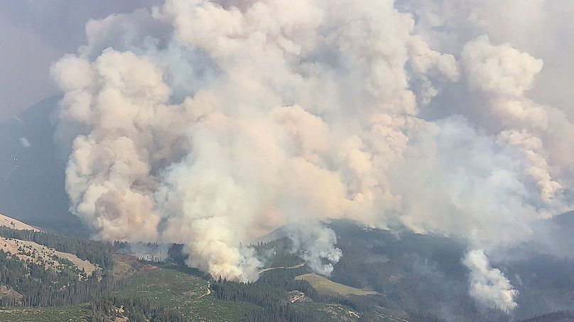 BC Wildfire Service/Handout via REUTERS