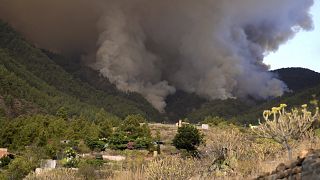 Erdőtűz a Kanári-szigetekhez tartozó Tenerifén fekvő El Rosario környékén 2023. augusztus 16-án.