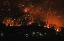 Kanada'nın British Columbia eyaletindeki orman yangınları devam ediyor
