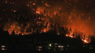 Kanada'nın British Columbia eyaletindeki orman yangınları devam ediyor 