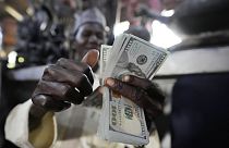 Nijerya'nın Lagos kentinde para sayan bir kişi 
