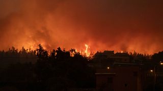 حريق غابات بالقرب من المنازل في لا أوروتافا في تينيريفي، جزر الكناري في إسبانيا