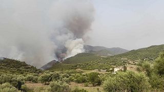 Bejaja in Algerien kämpft in diesem Sommer erneut mit den Flammen