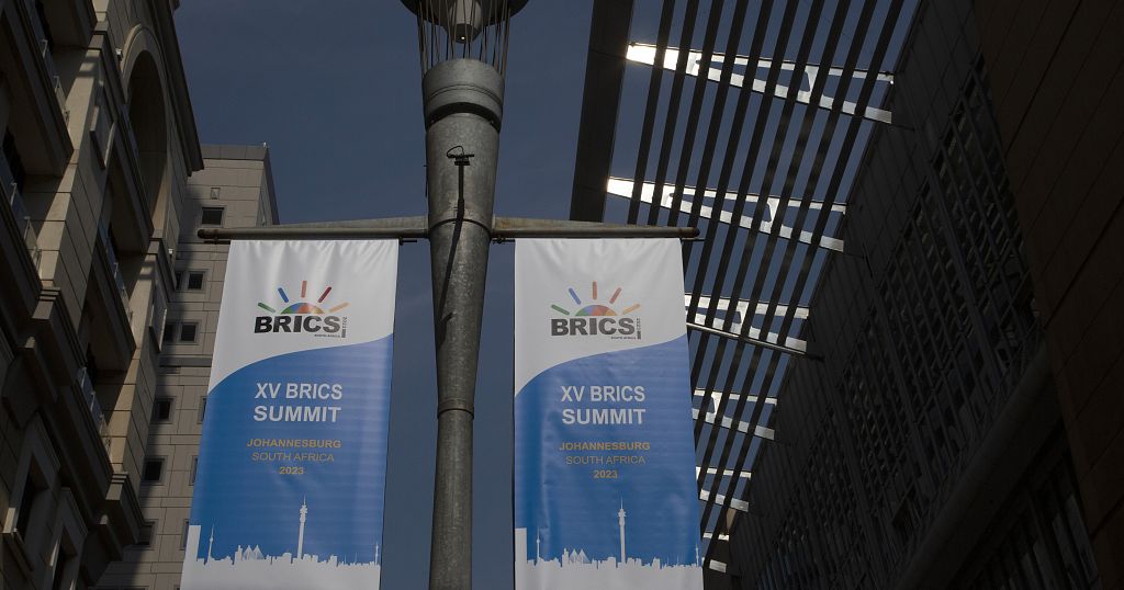 Sommet Des BRICS : Vers Une Expansion Des Pays Membres ? | Africanews