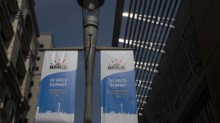 Sommet des BRICS : vers une expansion des pays membres ?