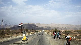 Yemen'de Suudi Arabistan sınırına yürüyen göçmenler / Arşiv