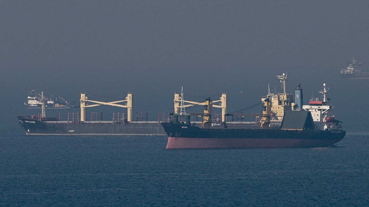 Ukrayna tahılı taşıyan kargo gemisi İstanbul'un kuzeyindeki Kumköy açıklarında, 2 Kasım 2022