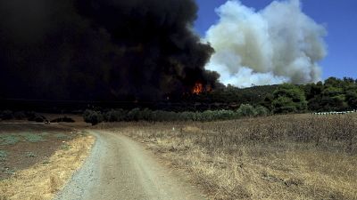 حريق غابات مشتعل في جزيرة إيفيا في بحر إيجه