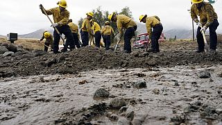Equipa retira lama de estrada californiana, nos Estados Unidos.
