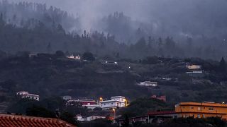 В результате пожара на Тенерифе, начавшегося 15 августа, выгорело уже 14 878 га.