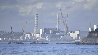 Das Kernkraftwerk Fukushima Daiichi