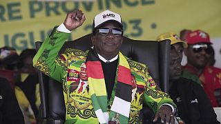 Zimbabwe : qui est Emmerson Mnangagwa, dit "le crocodile" ?