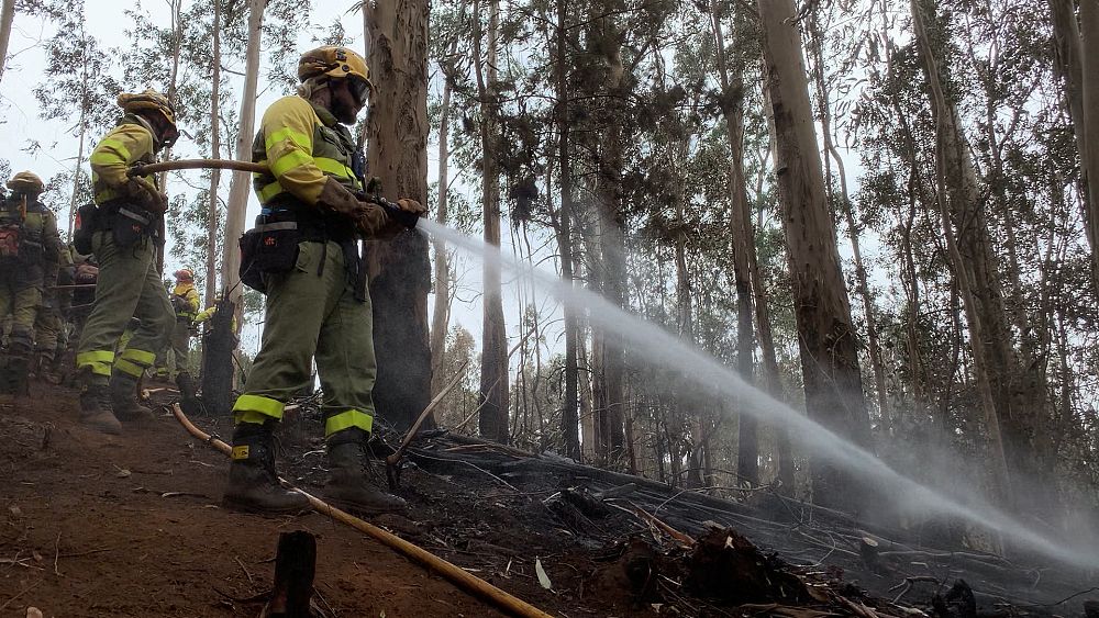 Wildfires in Tenerife: A paradise up in flames