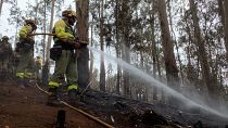 Incendios forestales en Tenerife: Un paraíso en llamas