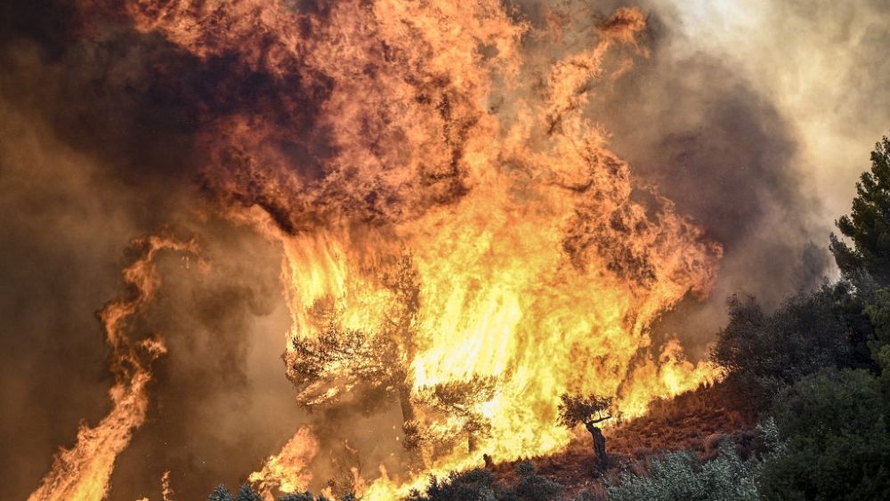 18 bodies found in Greek forest as wildfires ravage north of the country thumbnail