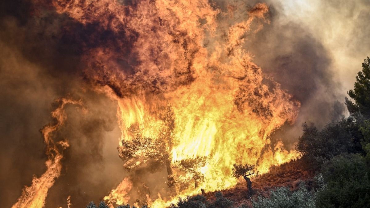 Une photo montre des flammes brûlant de la végétation lors d'un incendie de forêt près de Prodromos, à 100 km au nord-est d'Athènes, le 21 août 2023.