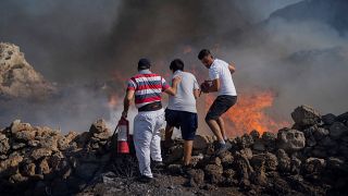 ثلاثة أشخاص يحاولون جهدهم إطفاء حريق في منتجع ليندوس بجزيرة رودس