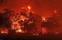 Yunanistan'In Dedeağaç bölgesindeki orman yangınları devam ediyor